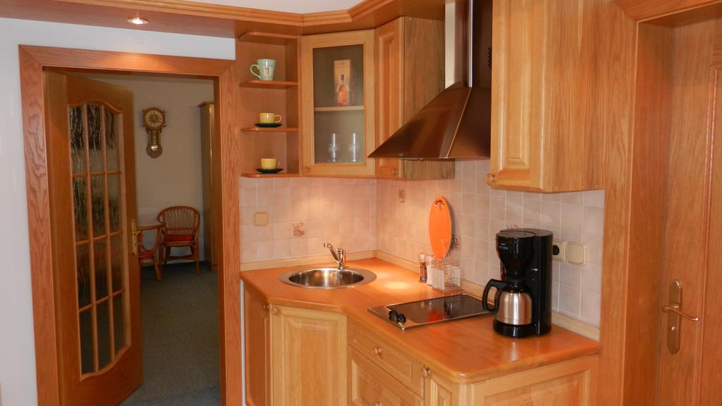Apartment Pension Stark Франтішкови-Лазнє Екстер'єр фото