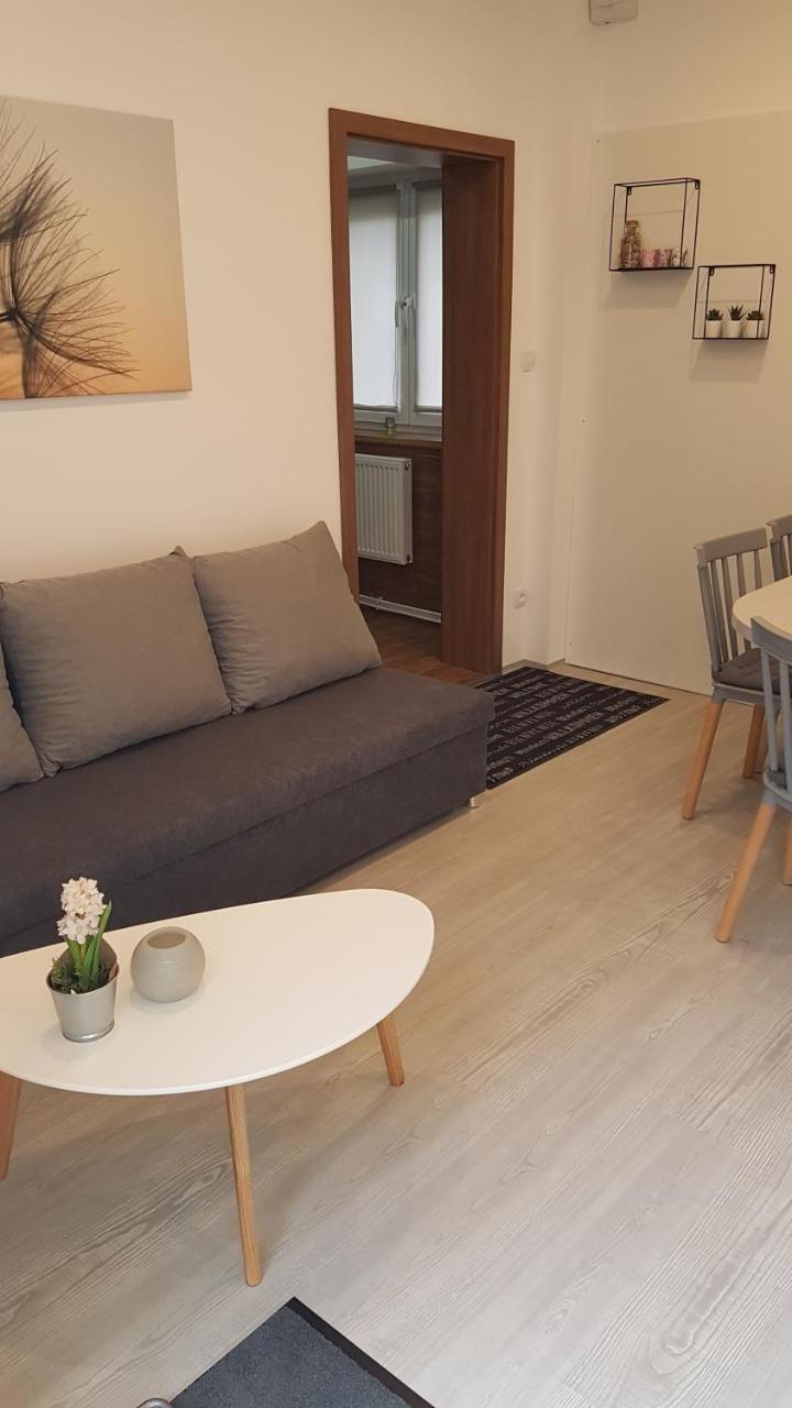 Apartment Pension Stark Франтішкови-Лазнє Екстер'єр фото